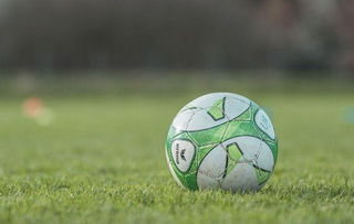 济南市章丘区鲁能实验小学：五育并举 多元育人