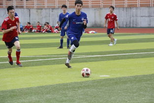 德甲：斯图加特客场3-0霍芬海姆 收获三连胜