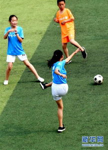 加维训练